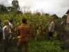 Personil Polsek Muara Kuang Cek Perkembangan Tanaman Jagung Program Ketahanan Pangan di Desa Beringin Dalam Personil Polsek Muara Kuang Cek Perkembangan Tanaman Jagung Program Ketahanan Pangan di Desa Beringin Dalam