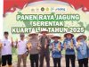 Sinergi Polres OKI dan Pemda Warnai Panen Raya Jagung Serentak Sinergi Polres OKI dan Pemda Warnai Panen Raya Jagung Serentak