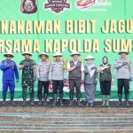 Wakapolda Sumsel Tinjau Kebun Jagung Produktif Polres Lubuk Linggau, Bukti Nyata Dukungan Polri terhadap Swasembada Pangan