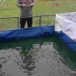 Kapolsek Muara Kuang Cek Perkembangan Ternak Ikan Lele Program Ketahanan Pangan di Kolam Polsek