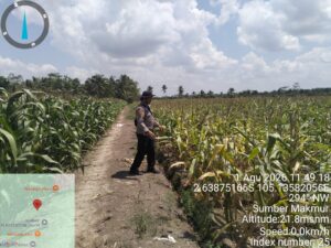 IMG-20260801-WA0171