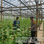 Bhabinkamtibmas Polsek Banyuasin III Ajak Warga Desa Tanjung Agung Sukseskan Program Pekarangan Pangan Bergizi