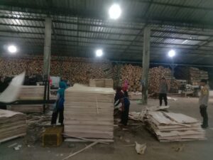 IMG-20260808-WA0032