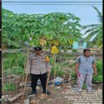 Bhabinkamtibmas Polsek Banyuasin II Ajak Warga Marga Sungsang Manfaatkan Pekarangan untuk Ketahanan Pangan