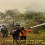 Karhutla Seluas 10 Hektare Terjadi di Tanjung Lago, Tim Gabungan Berhasil Padamkan Api