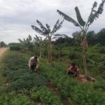 Bhabinkamtibmas Tungkal Ilir Ajak Warga Dukung Program P2B