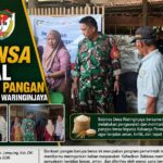 Babinsa Kawal Bantuan Pangan Beras di Desa Waringinjaya