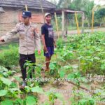 Bhabinkamtibmas Polsek Muara Telang Ajak Warga Manfaatkan Pekarangan untuk Dukung Ketahanan Pangan