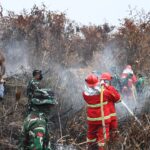 Danrem 044/Gapo : Inovasi Ekstrak Kulit Singkong PS 08 Ampuh Tanggulangi Fire Spot Karhutla