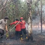 Gerak Cepat Polsek Banyuasin III Bersama Manggala Agni Padamkan Karhutla di Seterio