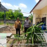 Pekarangan Produktif Didorong Jadi Penopang Ketahanan Pangan, Aipda Fadely Ajak Warga Kedondong Raye Dukung P2B