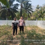 Pekarangan Produktif Untuk Penopang Ketahanan Pangan, Oleh Bripka Fredy Kapisah ,Ajak Warga Taja Raya II Dukung P2B