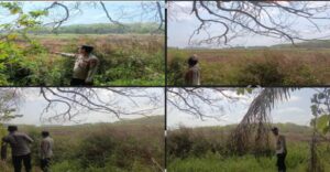 IMG-20260907-WA0002