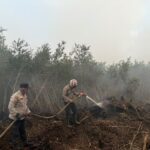 Api Mengintai dari Bawah Gambut, Petugas Berjibaku di Penanggoan Duren