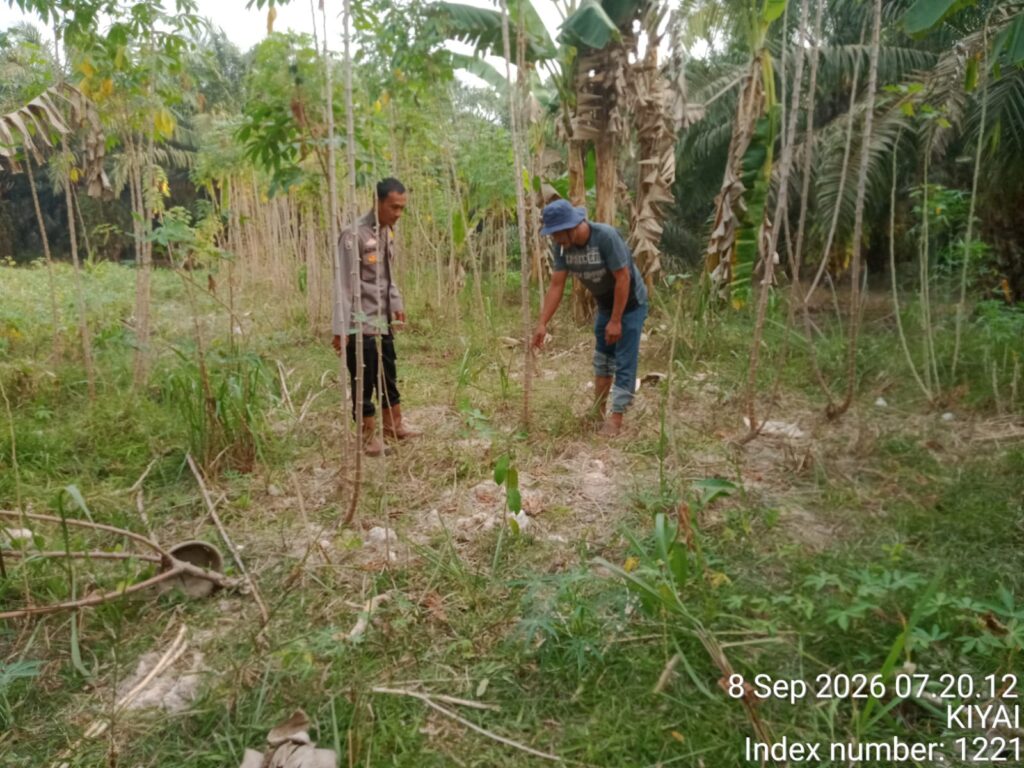 IMG-20260908-WA0023