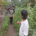 Pekarangan Produktif Untuk Penopang Ketahanan Pangan,Oleh Aipda Hadi Hidayatullah ,Ajak Warga Desa Mekar Mukti Kec. Muara Telang Dukung P2B