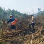 Bhabinkamtibmas Bersama Masyarakat Tangani Karhutla di Desa Teluk Payo