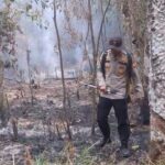 Kapolsek Rantau Bayur Bersama MPA Padamkan Karhutla dengan Alat Sederhana