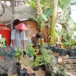 “Dukung Ketahanan Pangan, Bripka Harun Jauhari Laksanakan Kegiatan P2B Polsek Talang Kelapa di Kel. Talang Keramat” Kec. Talang Kelapa