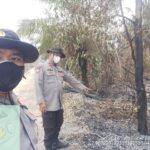 Ground Check Hotspot di Sembawa, Polisi Catat Lahan Terbakar Sekitar 1 Hektare