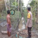 “Bhabinkamtibmas Polsek Muara Telang, Aipda Hadi Hidayatullah Ajak Masyarakat Desa Mekar Sari Kec. Muara Telang, Dukung Program P2B, Wujudkan Swasembada Pangan Nasional”.