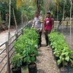 “Bhabinkamtibmas Polsek Talang Kelapa, Bripka Bambang S, Ajak Masyarakat Desa Sungai Rengit Kec. Talang Kelapa, Dukung Program P2B, Wujudkan Swasembada Pangan Nasional”.