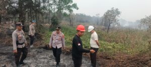 IMG-20261002-WA0011
