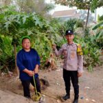 “Bhabinkamtibmas Polsek Talang Kelapa Brigpol Nursalam, Dorong Masyarakat Manfaatkan Pekarangan Untuk Dukung Swasembada Pangan”.