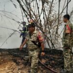 Api Meluas di Tengah Tiupan Angin, Babinsa dan Warga Berjibaku Padamkan Lahan Bambu di Bekasi