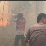 Api membakar lahan di Perigi, Polres OKI dan warga berjibaku cegah karhutla meluas