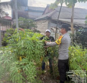 IMG-20261011-WA0005