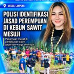 Polisi Identifikasi Jasad Perempuan di Kebun Sawit Mesuji, Penyebab Kematian Masih Diselidiki