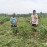 Dukung Swasembada Pangan Nasional, Bhabinkamtibmas Polsek Tungkal Ilir Aiptu Suseno, Ajak Warga Desa Bumi Serdang Kec. Tungkal Ilir Kembangkan Pekarangan Produktif