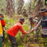 Patroli Terpadu di Desa Pulau Muning, Tim Gabungan Perkuat Pencegahan Karhutla