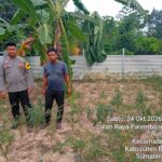Dukung Swasembada Pangan Nasional, Bhabinkamtibmas Polsek Betung Brigpol Wahyu Agung Kamaludin, Ajak Warga Desa Lubuk Lancang Kec. Suak Tapeh Kembangkan Pekarangan Produktif